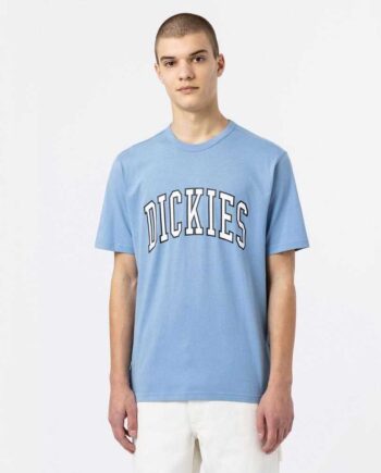 Blå Dickies Aitkin Shirt Allure - Dickies T-Shirt  - 196013074753